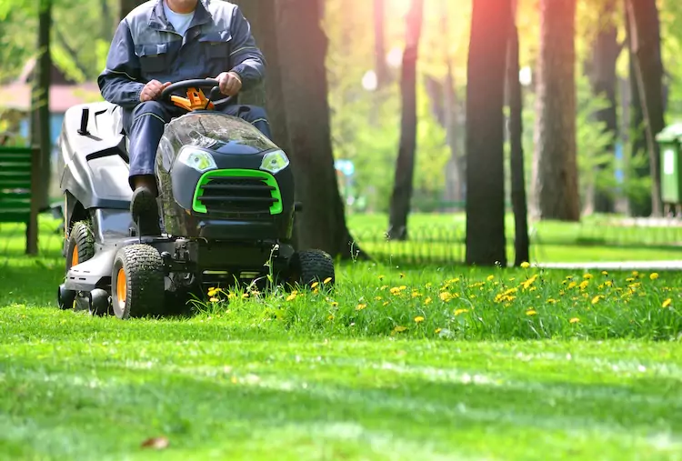 Insured lawn mower riding a lawn mower